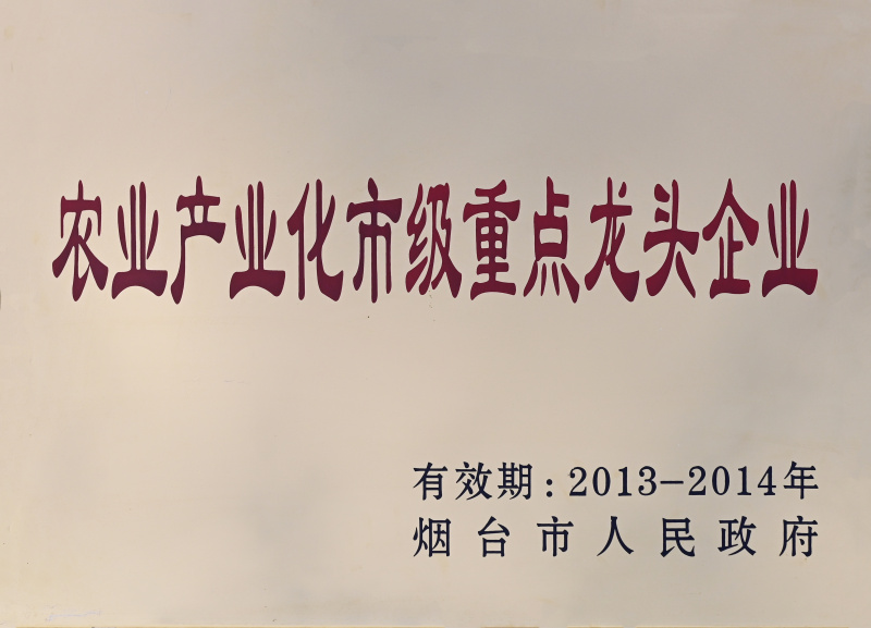 龍頭企業(yè)2013-2014